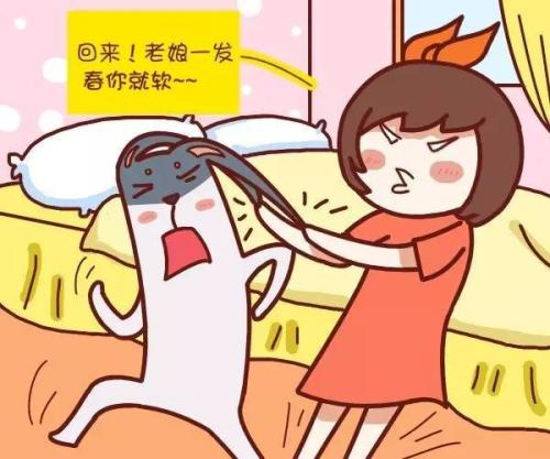 性欲高涨和性欲亢进怎么区分