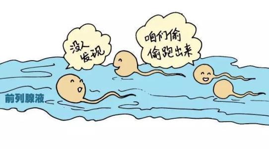 男性射精快是怎么回事