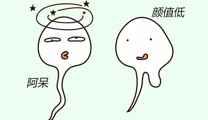 哪些食物是精子杀手