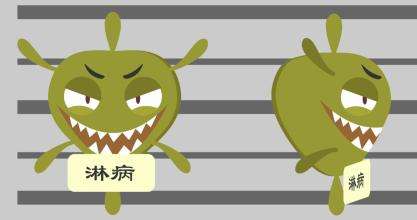 淋病该怎么预防