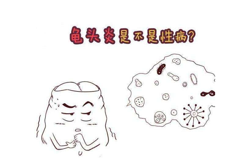 包皮龟头炎三大危害