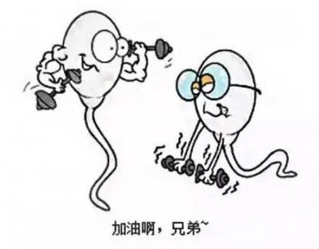 治疗弱精症要多少钱